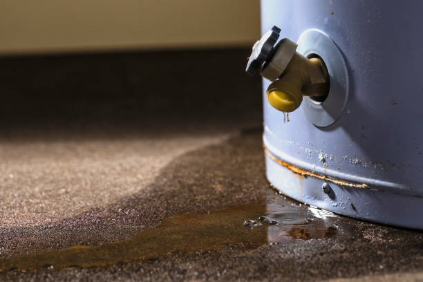 Best Sewage cleanup and water damage restoration  in St Marys, GA