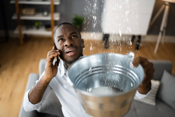 Best Basement water damage restoration  in St Marys, GA