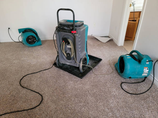 Best Flood restoration services  in St Marys, GA