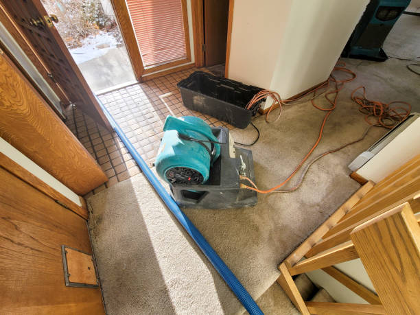 Best Flooded house restoration  in St Marys, GA