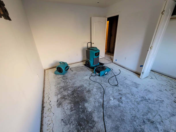 Best Carpet water damage restoration  in St Marys, GA