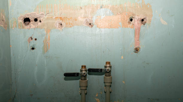 Best Residential water damage restoration  in St Marys, GA