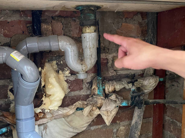  St Marys, GA Water damage restoration Pros
