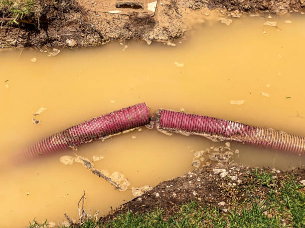 Best Water damage contractors near me  in St Marys, GA