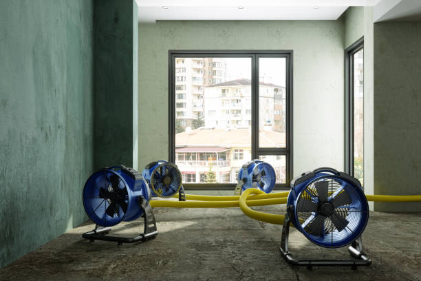 Best Commercial water damage restoration  in St Marys, GA