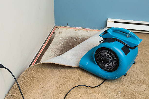 Best Ceiling water damage repair  in St Marys, GA